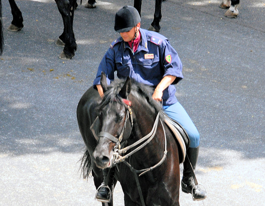 Xilocopa e ancora polizia a cavallo